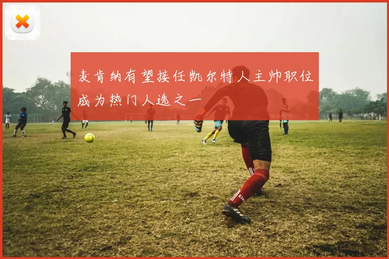 麦肯纳有望接任凯尔特人主帅职位成为热门人选之一